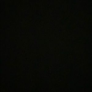 Meet your Posher, Bella